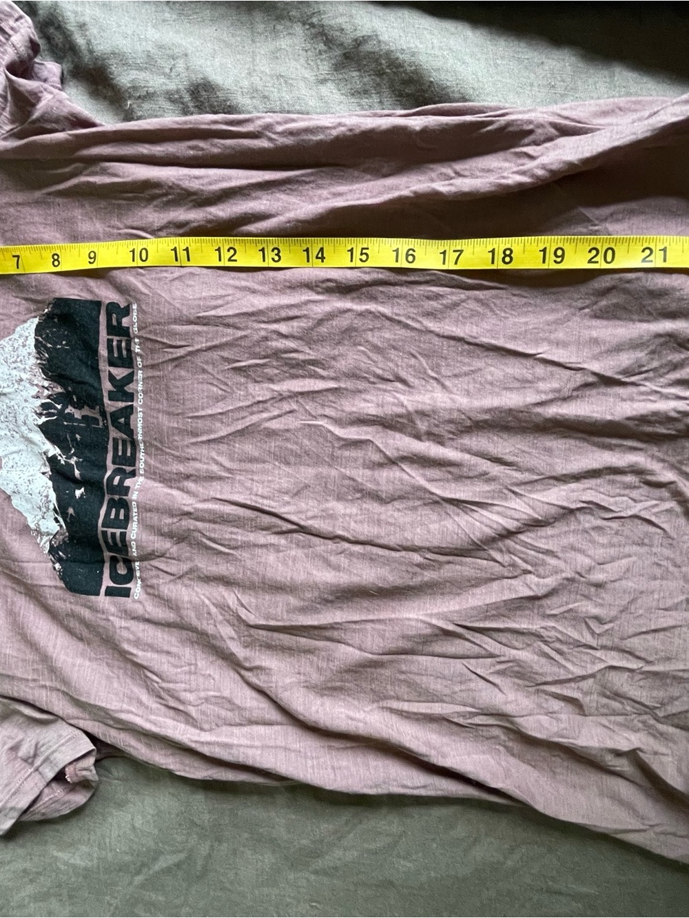 Icebreaker Women’s Short Sleeve Graphic Tee - Mauve Size S